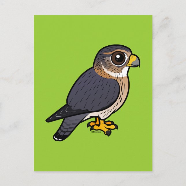 Birdorable Merlin Postcard (Front)