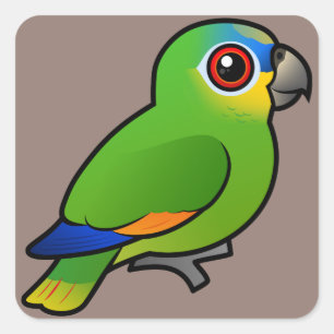 Birdorable Orange-winged Amazon Square Sticker