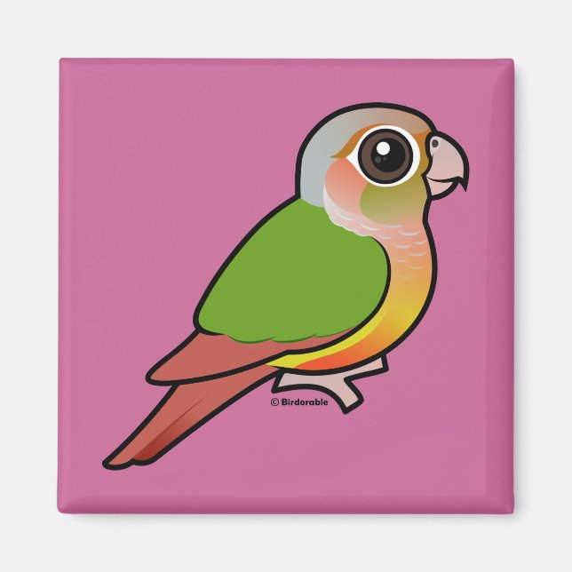 Birdorable Pineapple Green-cheeked Conure Magnet (Front)