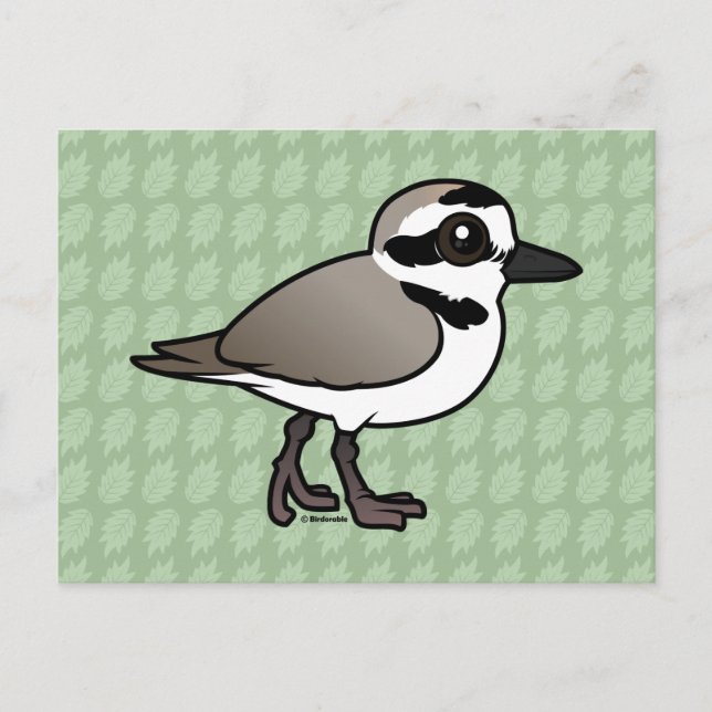 Birdorable Snowy Plover Postcard (Front)