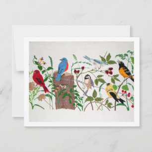 Birds