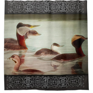 Birds 1917 Grebes Shower Curtain