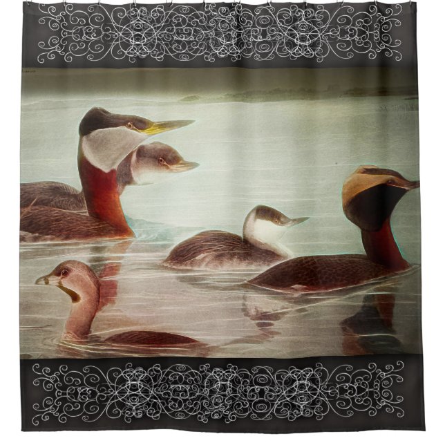 Birds 1917 Grebes Shower Curtain (Front)
