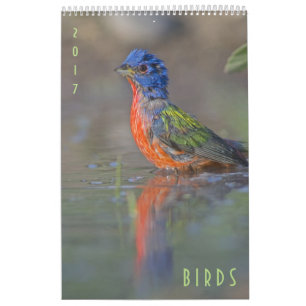 Birds 2017 Wildlife Wall Calendar