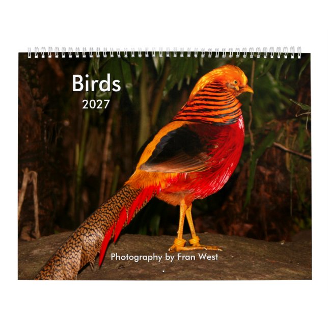 Birds 2027 calendar (Cover)