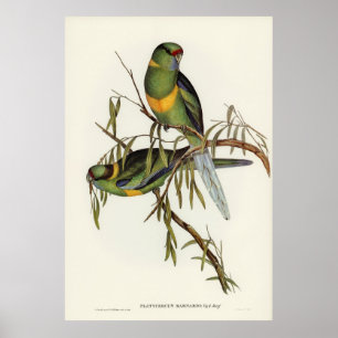 Birds 2 poster