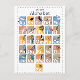 Birds alphabet postcard