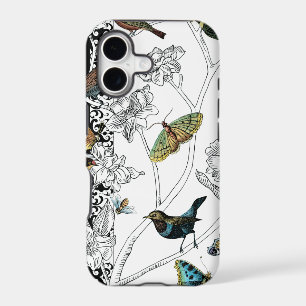 Birds and Butterfly on a Black & White Background
