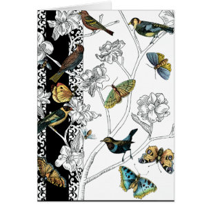 Birds and Butterfly on a Black & White Background