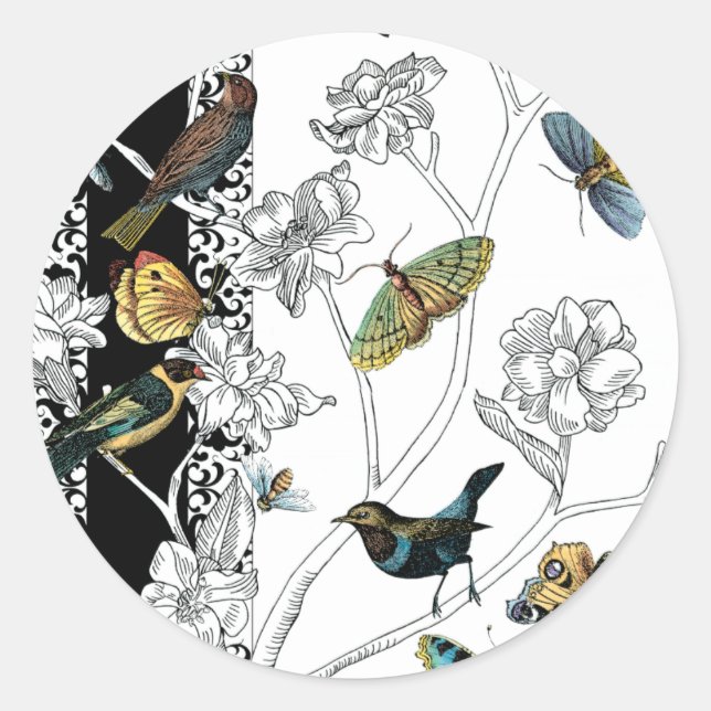 Birds and Butterfly on a Black & White Background Classic Round Sticker (Front)