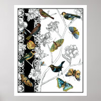 Birds and Butterfly on a Black & White Background