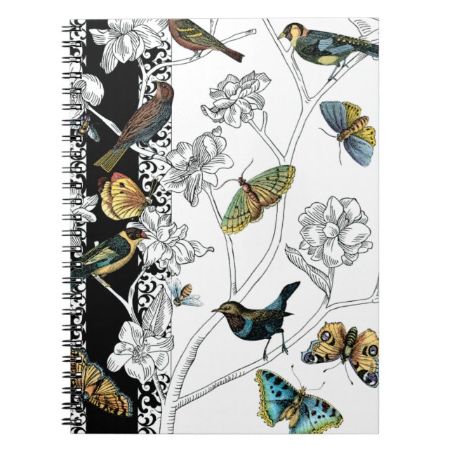 Birds and Butterfly on a Black & White Background Spiral Notebook (Front)