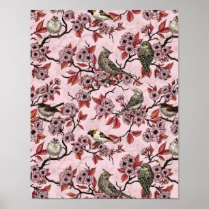 Birds and cherry blossom on rose pink poster