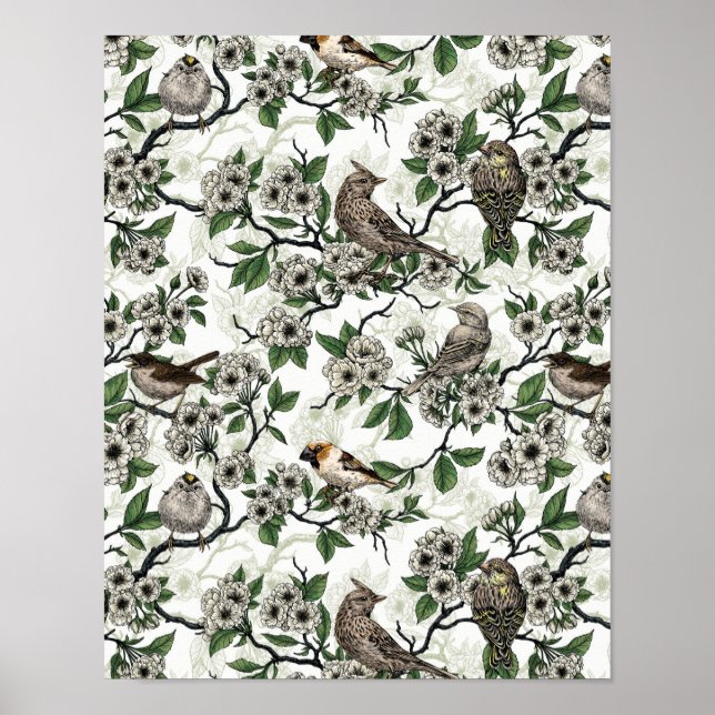 Birds and cherry blossom on white poster (Front)