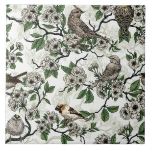 Birds and cherry blossom on white tile