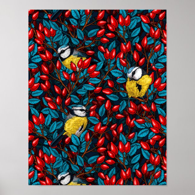 Birds and dog rose hips, blue and red poster (Front)