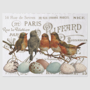 Birds and Eggs Vintage French City Names Decoupage Tissue Paper