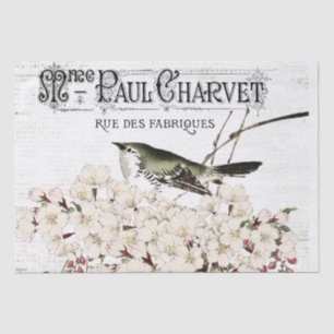 Birds and Magnolia Tissue Paper