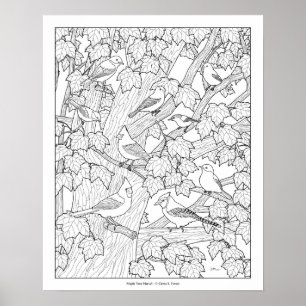 Birds and Maple Tree Adult Colouring Page 20"x16" Poster
