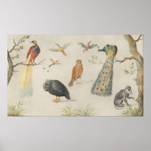 Birds and Monkey - Jan van Kessel Fine Art Poster
