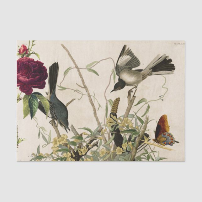 BIRDS AND ROSE Tissue Paper (Front)