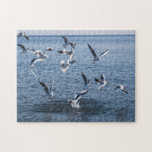 birds and sea jigsaw puzzle