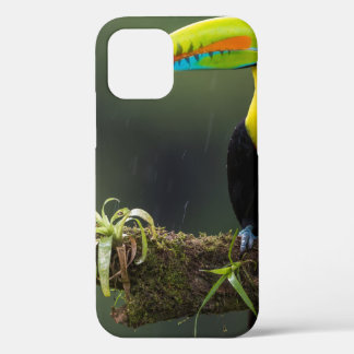 birds are the only animals with feathers 2 iPhone 12 case
