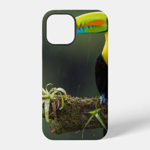 birds are the only animals with feathers 2 iPhone 12 case
