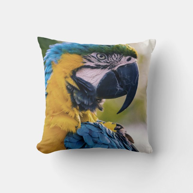 birds are the only animals with feathers 8 cushion (Front)