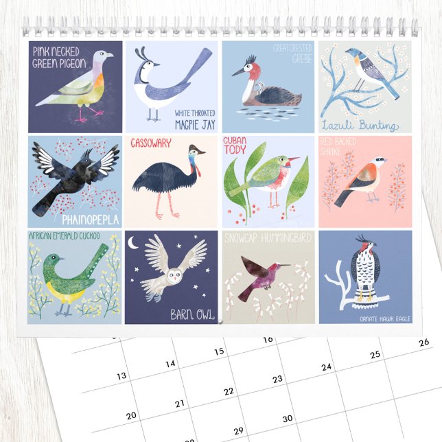 Birds Around the World Art Calendar (Birds around the World fun art calendar with illustrations by Nic Squirrell)