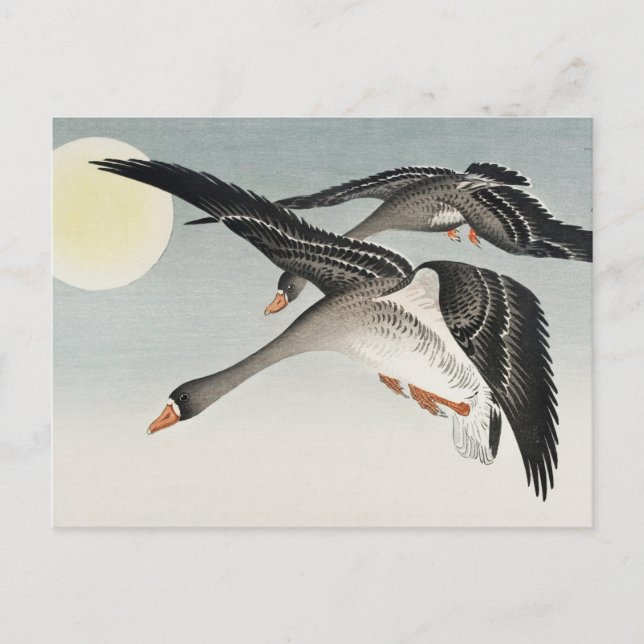 Birds at Full Moon Painting by Ohara Koson Postcard (Front)