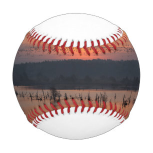Birds at sunrise baseball