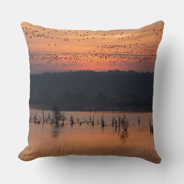 Birds at sunrise cushion (Front)