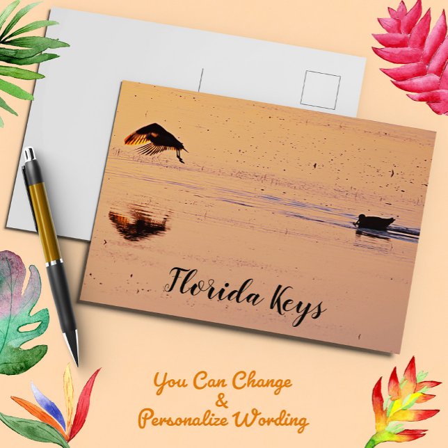 Birds at Sunset on Ocean Key West Florida Postcard (Creator Uploaded)