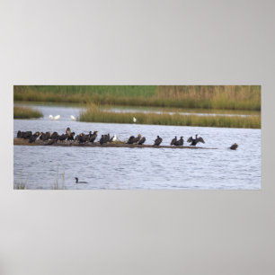 Birds at the Refuge Poster
