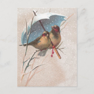 Birds Beneath Blue Umbrella Postcard