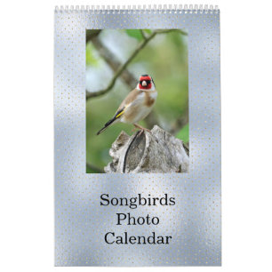 Birds Blue Photo Customisable Calendar
