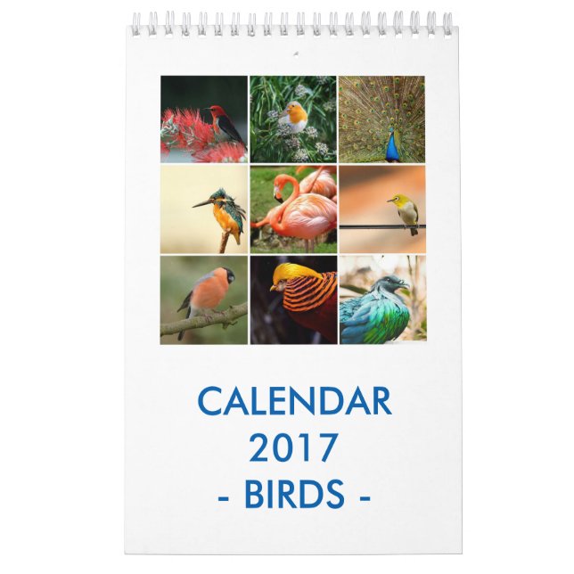 Birds Calendar (Cover)