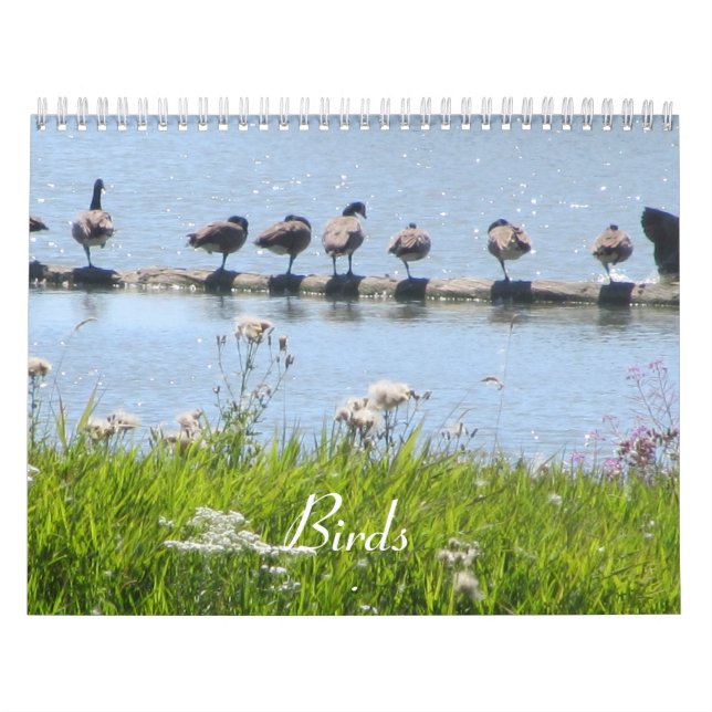 Birds Calendar (Cover)