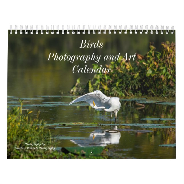 Birds Calendar (Cover)