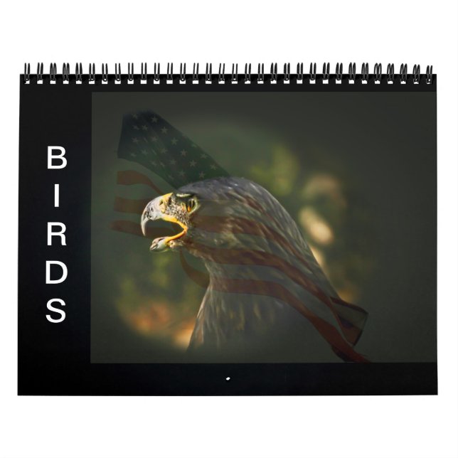 Birds Calendar (Cover)