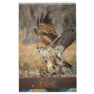 birds  calendar