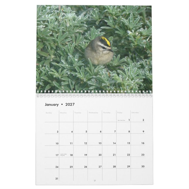 Birds Calendar 2012 (Jan 2027)