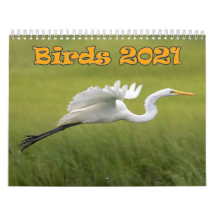 Birds Calendar 2021