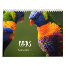 birds calendar 2023
