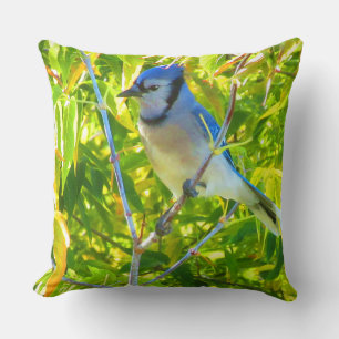 Birds Canada Goose Northern Blue Jay Custom 2 Pics Cushion