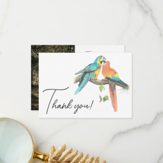 Birds Couple Colourful Tropical Elegant Thank You Card