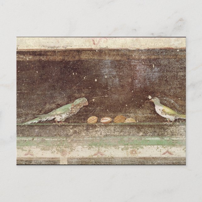 Birds eating nuts postcard (Front)