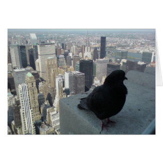Bird's Eye View of New York Card
