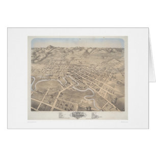 Bird's eye view of the City of Petaluma (1298)
